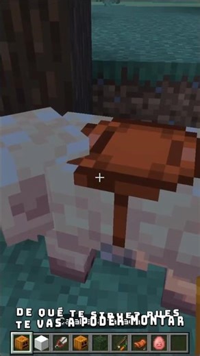 Minecraft's best-kept secret 🤫