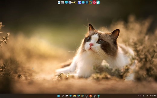 ESP32-CAM在ArduinoIDE的搭建及例程烧录