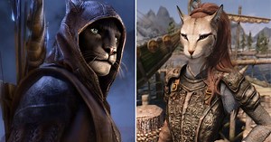 Khajiit / Khajiit Has Wares | Know Your Meme