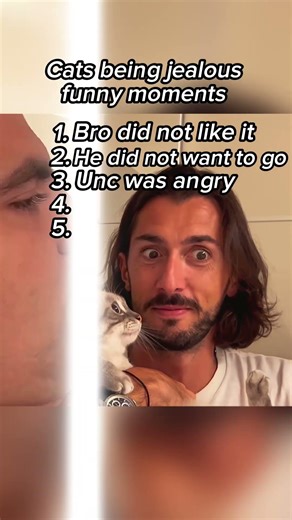 Best cats being jealous moments #animalhumor #algorithm #funny