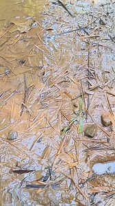 20K views · 194 reactions | Menu masakan sederhana dan selalu bikin nagih #ResepMasakan | Cecepet Makanan | Facebook