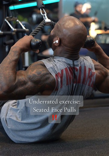 Seated Face Pulls: Effective Rear Delt Exercise