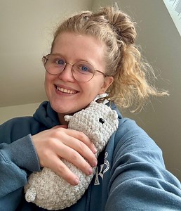 Crochet Hippo Plushie - Etsy