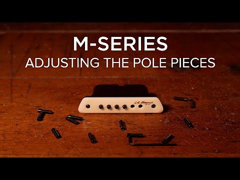 M Series | Adjusting The Pole Pieces