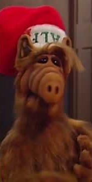 It’s the day before Christmas, I’ve hidden all the eggs 🥚 🎄