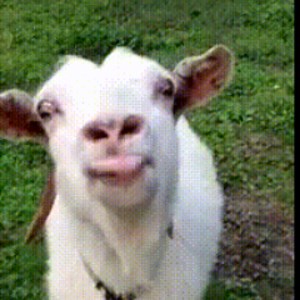 t0nguepunchthefartbox - Twitch