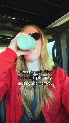 Protecting Nesting Birds: The Ethics of Birding