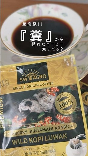 Super luxurious! Coffee made from cat poop?! I tried it! #KopiLuwak #Indonesia #poopcoffee