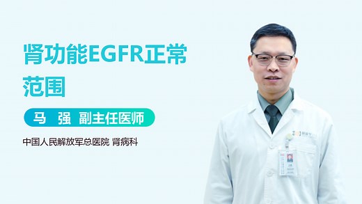 肾功能EGFR正常范围-有来医生