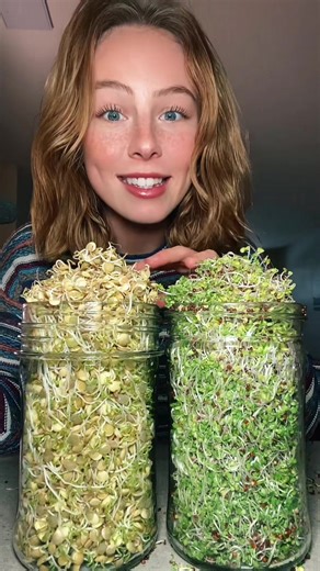 The Easiest Food to Grow at Home: Sprouting Guide