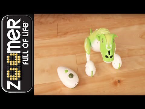 Zoomer | Getting Started with Your Zoomer Dino