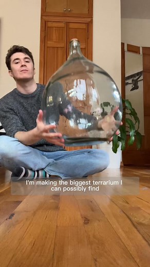 You’re making this massive terrarium (thicc, not clickbait) | Leafy Street