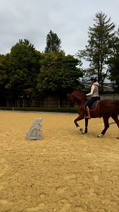 8.4K views · 41 reactions | Canter pirouettes are my absolute...