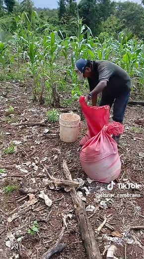 Videos de Elsner Zambrana (@elsner.zambrana) con “sonido original - elsosaysuestilochacaloso”