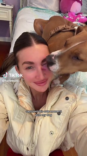 The Heartwarming Love Between Dogs and Humans
