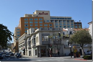 Monterey in springtime, California sea lions – Loyalty Traveler