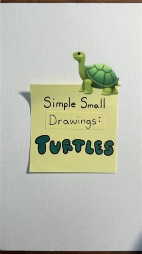 Simple Drawings of Turtles 🐢