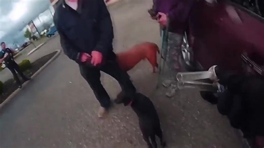 5.4K views · 29 reactions | Pet raccoon busted trying to smoke meth...