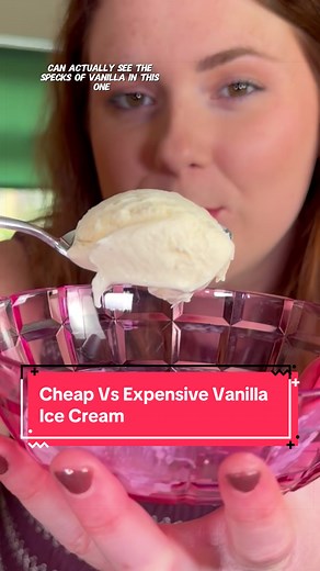 Cheap vs. Expensive Vanilla Ice Cream Taste Test