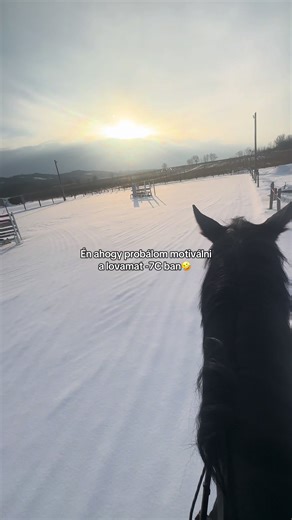 Ne add fel testvér a reményt! #diarondiamant #fouryoupage #equestrian #plsrepost #trendiing