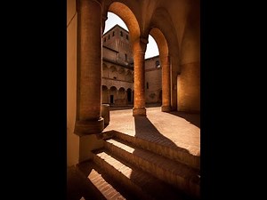 What Are Circles Used For? (12 Applications Of Circles)