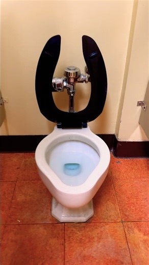 Men’s Restroom Extended Lip Mueller Benton Toilet Flush | Santa Anita Park, Arcadia, California, USA