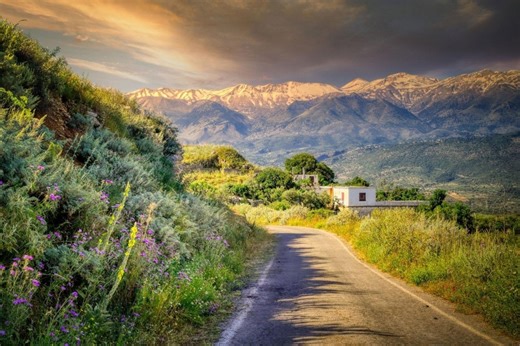 Λήξη της προθεσμίας για καθαρισμό οικοπέδων στις 30 Απριλίου 2025 | Pagenews.gr