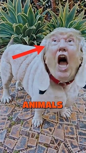 The Rarest Animal Abilities You've Never Seen #wildlife #discovery #nature #animals
