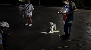 警察犬ハスキーとの特別な生活