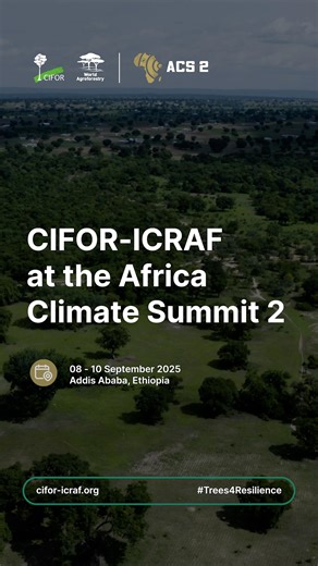41 reactions | Africa is feeling the heat, from devastating droughts to floods that have uprooted millions. Yet amid these challenges, communities are rewriting the story with resilience, innovation, and hope. Starting tomorrow, the Africa Climate Summit in Addis Ababa brings together leaders, scientists, and changemakers to shape Africa’s role in global climate action. We’ll be on the ground sharing the voices,stories, and momentum from the ground. Stay tuned. | CIFOR-ICRAF | Facebook