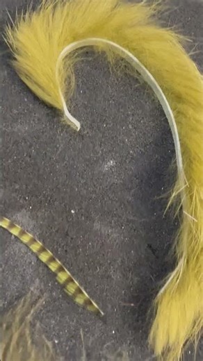 My standard Marabou streamer