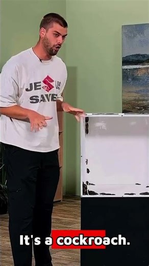 Guessing Dangerous Animals In A Box! (MrBeast)