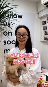 ❌ Are You Accidentally Putting Your Puppy at Risk? If you're getting your pup from us — or recently brought one home — this is critical: 🛑 Never bathe your puppy: Right after you bring them home (wait 15 days) After vaccinations (wait 1 week) After meals (wait at least an hour) When your female dog is in heat When they’re sick These are common mistakes even well-meaning pet parents make. But getting it wrong can seriously affect your pup’s health — especially in those early days. At Pretty Pets