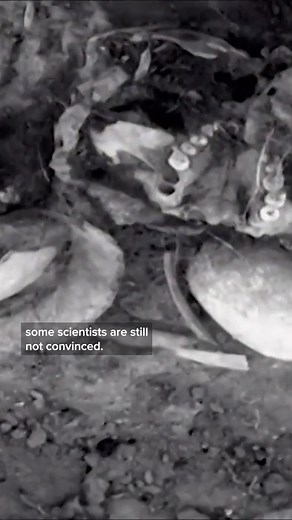 4K views · 45 reactions | The mystery of the American South's ancient cannibal tribe #archaeology #History #historyfacts | Odyssey - Ancient History | Facebook