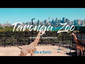 Sydney Taronga Zoo By Ferry