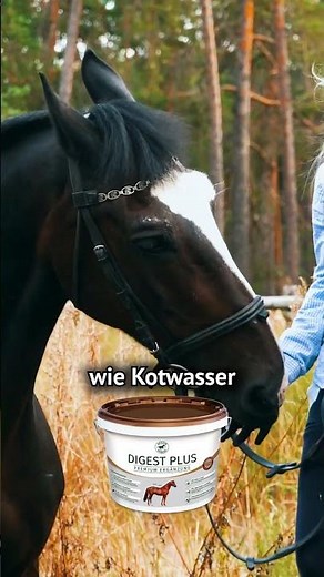 LEXA Digest oder ATCOM DIGEST PLUS