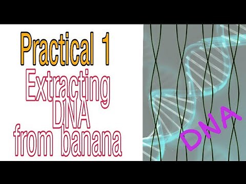 EXTRACT DNA FROM BANANA PRACTICAL/ DNA EXTRACTION BIOLOGY / LIFE SCIENCES PRACTICAL GRADE 12