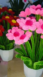 Kenapa namanya bunga goyang,karena kalo kena angin dia bergoyang2😄#bungagoyangkawatbulu | Umi Rara