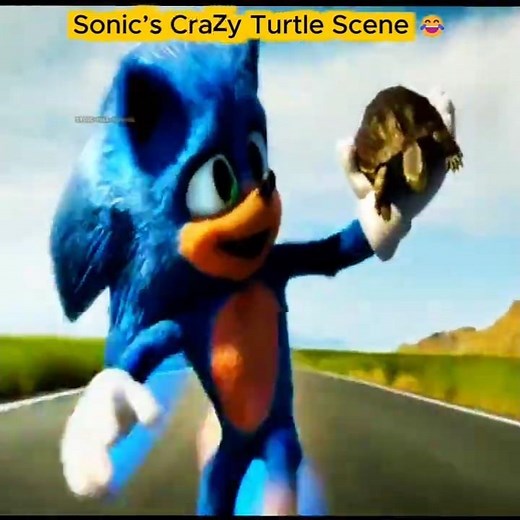 Sonic’s First Adventure with Turtle | Sonic Hedgehog Movie Short clip