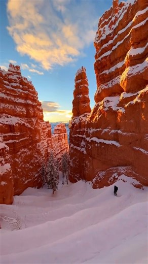 There is nowhere on Earth like Bryce Canyon. Famous for its "Hoodoos" (tall, thin spires of rock), the amphitheater looks like a fairy tale landscape! 🧚‍♀️ | National Park Express