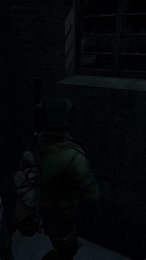 Неожиданные встречи в DayZ #shorts #dayz