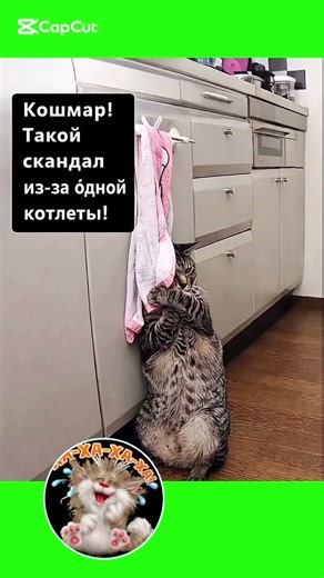 смех😂😂 #юмор #шуточное #смех #смешновидео #анекдоты #смешнойшортс #анекдот #мем