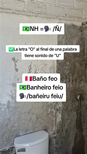 Diverse Language Expressions in Latin American Culture