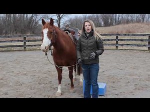 Horseback Riding for Beginners --- Mounting and Dismounting your horse