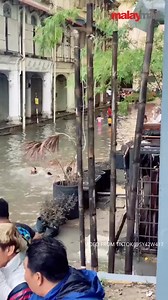 A TikTok video shows several families, including children, swimming and playing in knee-deep floodwaters. The video, captioned "Kota Bharu water park," has gained over 850,000 views, raising widespread concern among netizens. | Malay Mail