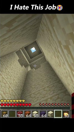 POV: You Hate Your Minecraft Job 😂🔥