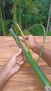 How to make bamboo gun at home. Bamboo Gun making. #BaeBamboo #diy | Bae Bamboo