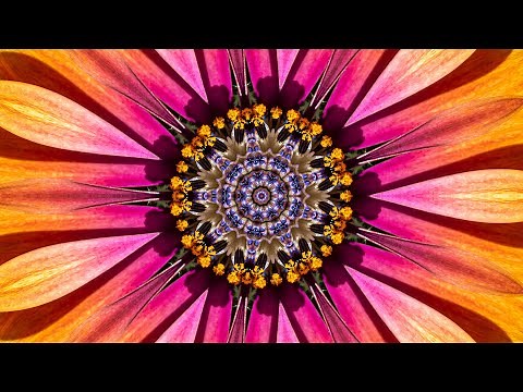 The Splendor of Flowers Kaleidoscope Video Beta v1 - 75 Minutes of Peace - A Jubilee for All Nations