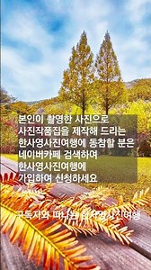 온빛자연휴양림 메타세쿼이아 - 지금 가면 좋은 사진여행지(11/24) #메타세콰이아길 #논산 가볼만한 곳 #늦가을 여행