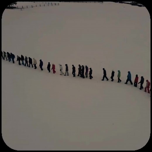 მოგესალმებათ საქართველოს სკაუტური მოძრაობის სამეგრელოს ორგანიზაცია❤️ ბანაკი ავატარი ბრუნდება ⚜️ #scouts #scoutsoftheworld #scoutsofgeorgia